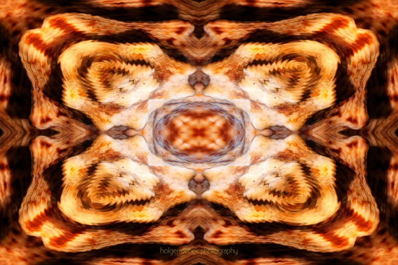 Digital Art - I was a shell