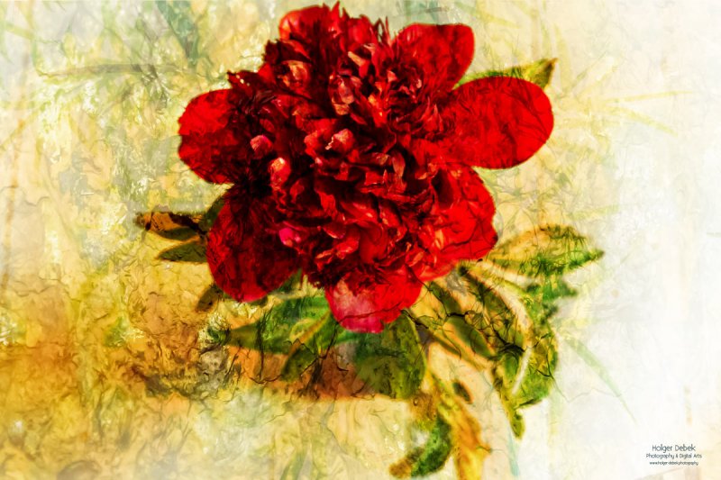 Digital Art - Peony