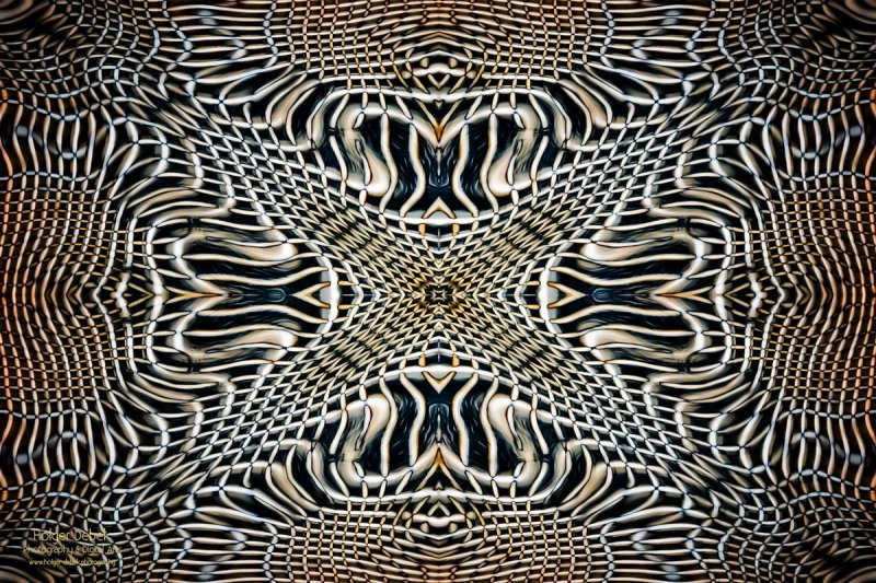 Digital Art - Weave