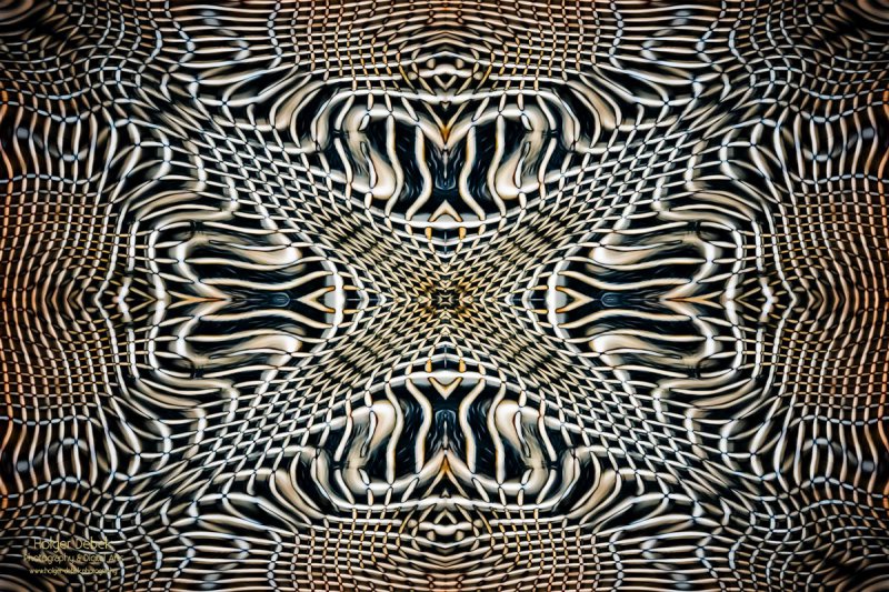 Digital Art - Weave