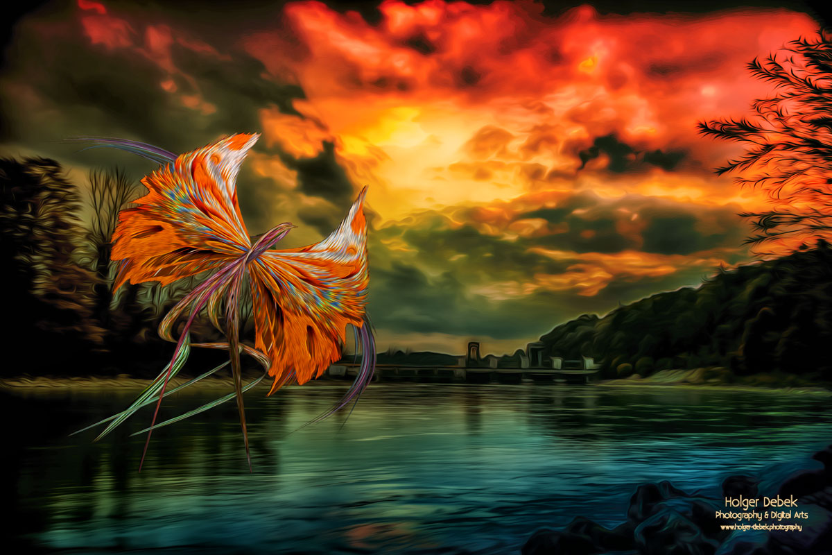 Digital Art - Phenix rises again