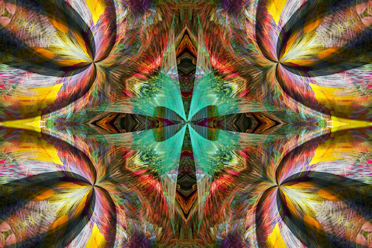 Digital Art - Some kind of mandala